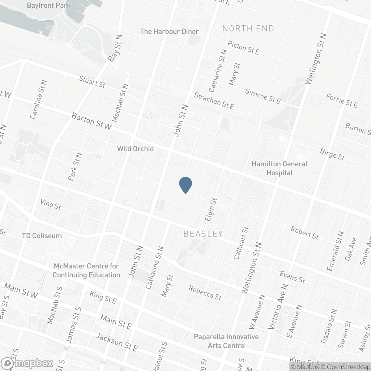 218 CATHARINE Street N, Hamilton, Ontario L8L 4S6